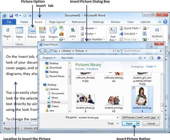 insert multi page pdf into word for mac